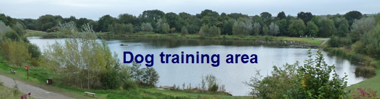 A silent dog training spot