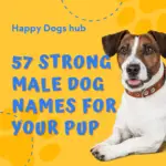 57 strong male dog names