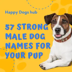 57 Strong male dog names