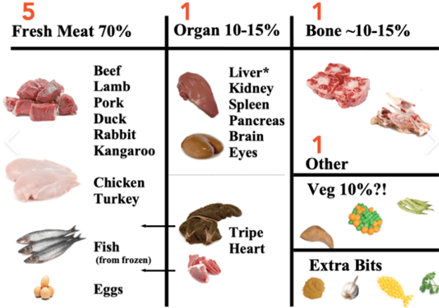 An example of a well-balanced diet for a pregnant dog