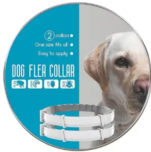 An image of a dog flea collar