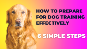 How to prepare for dog training effectively flyer