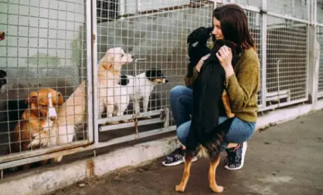 A woman choosing the perfect dog