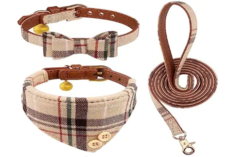Best Gucci dog collar and leash set