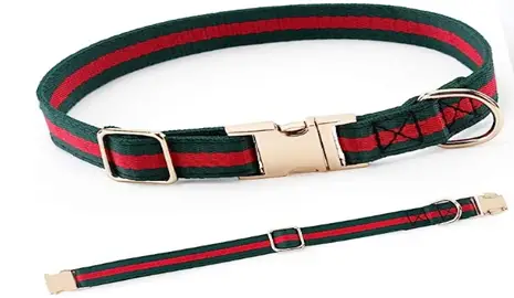 Best Gucci dog collar