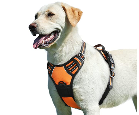 Y-shaped dog harness